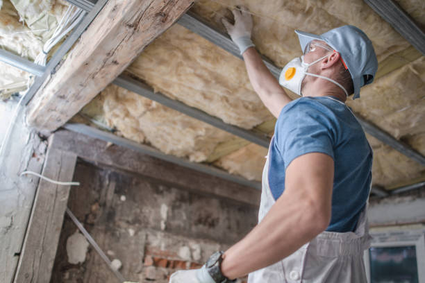 Best Commercial Insulation in Lucas, TX